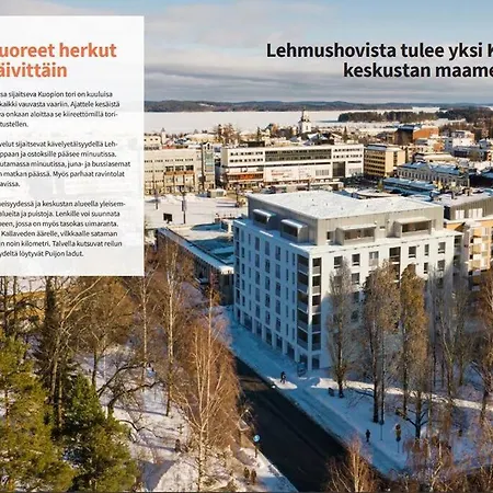 Keskusta Uusi Kalustettu Kaksio. كوبيو